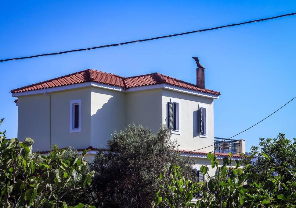 Villa Rania: Ευάερη Βίλα Με Θέα Τη Θάλασσα Lixouri Ngoại thất bức ảnh